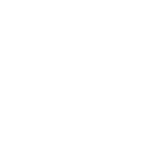 Icon Denkmalpflege – weiß