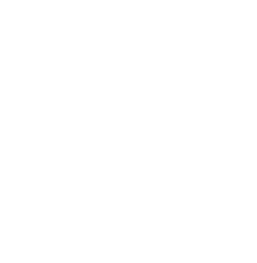 Icon Fassadengestaltung – weiß