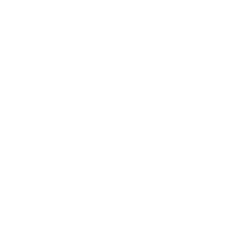 Icon Malerwerkstätte weiß