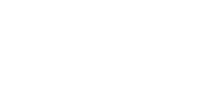 Firmenlogo der Maler Theis GmbH – Malerarbeiten und Stuckrestaurierung (negativ)