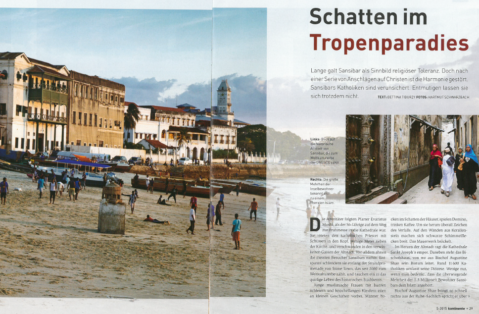 Zeitungsartikel über das Sansibar-Projekt von Maler Theis